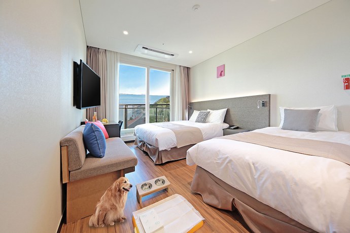 Imagen de la habitación del Hotel Airsky. Foto 16