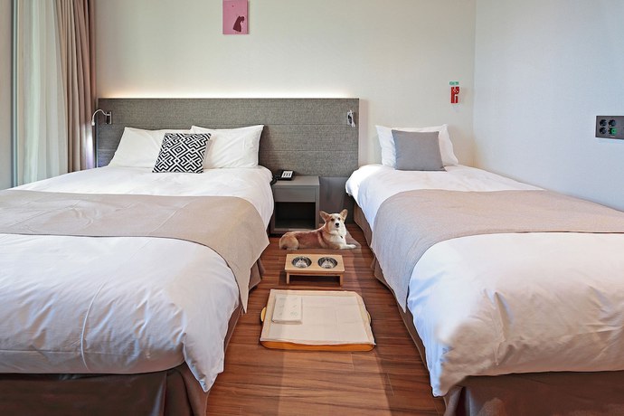 Imagen de la habitación del Hotel Airsky. Foto 17