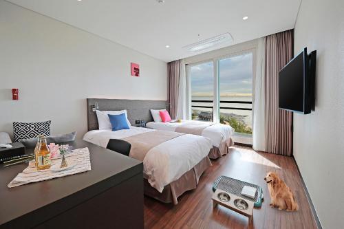 Imagen de la habitación del Hotel Airsky Incheon. Foto 14