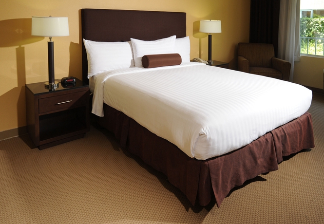 Imagen de la habitación del Hotel Airtel Plaza. Foto 6