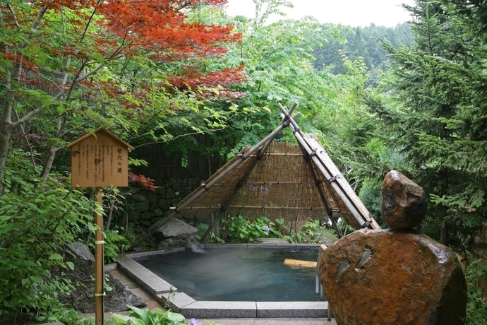 Imagen de la piscina del Hotel Aishinkan. Foto 15