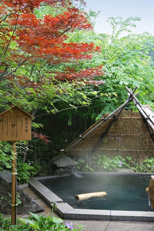 Imagen de la piscina del Hotel Aishinkan. Foto 17