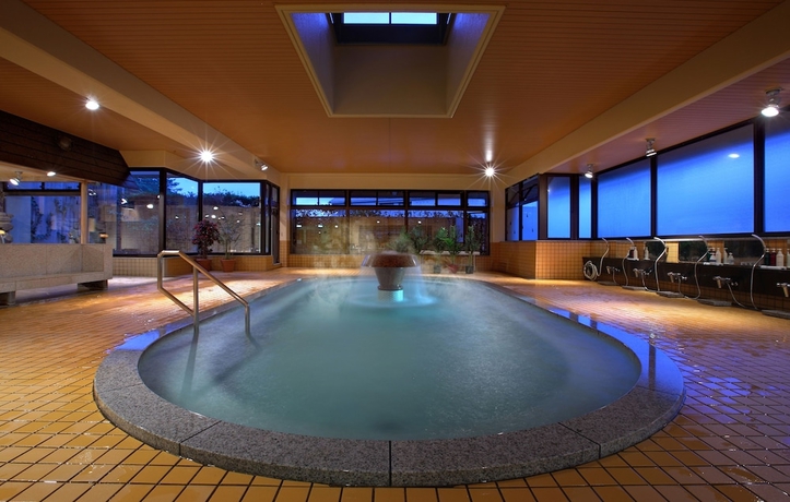 Imagen de la piscina del Hotel Aishinkan. Foto 18