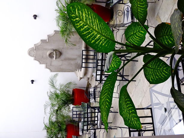 Imagen de los exteriores del Hotel Aitana, Oaxaca de Juárez. Foto 9