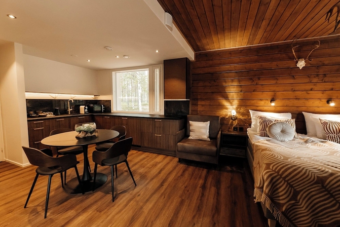 Imagen de la habitación del Hotel Aito Igloo and Spa Resort. Foto 10