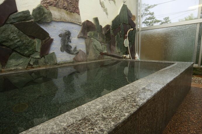Imagen general del Hotel Akaishi Ryokan. Foto 4