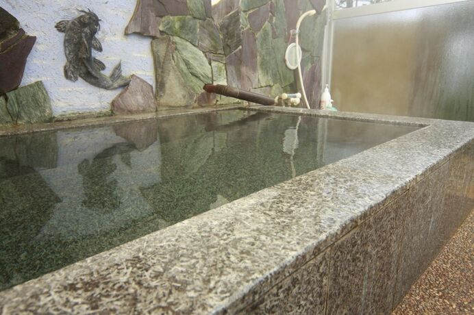 Imagen general del Hotel Akaishi Ryokan. Foto 7