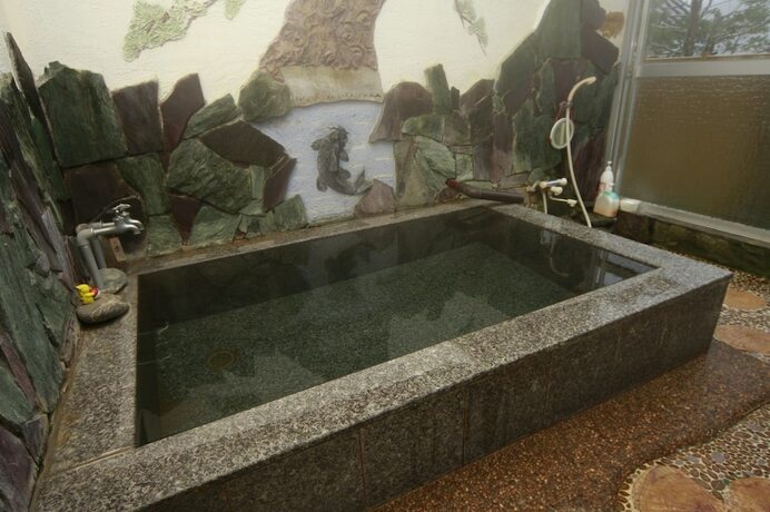 Imagen general del Hotel Akaishi Ryokan. Foto 9