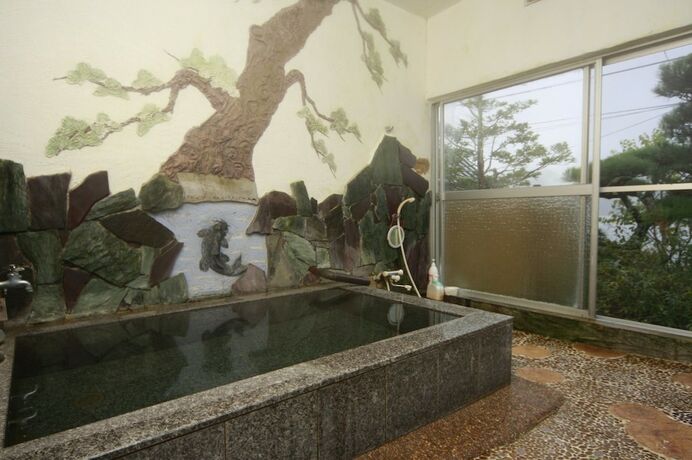 Imagen general del Hotel Akaishi Ryokan. Foto 17