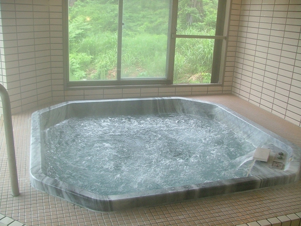 Imagen de la piscina del Hotel Akakura. Foto 18