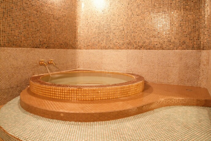 Imagen general del Hotel Akari No Yado Villa Revage. Foto 6