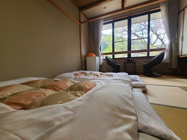 Imagen de la habitación del Hotel Akasawa Onsen Ryokan. Foto 18