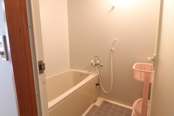 Imagen general del Hotel Akasawa Onsen Ryokan. Foto 11