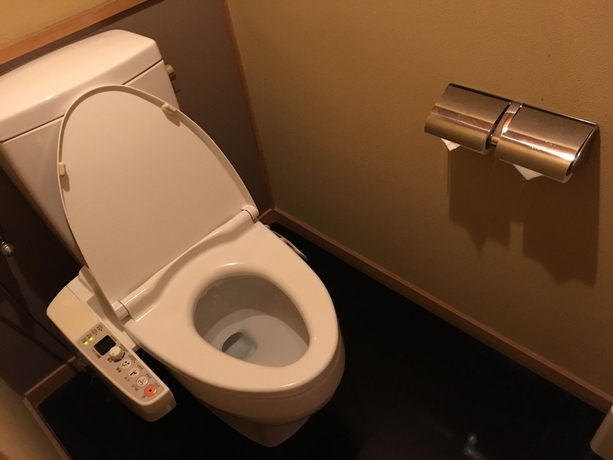Imagen de la habitación del Hotel Akayu Onsen Gotenmori. Foto 11