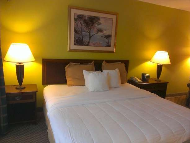 Imagen de la habitación del Hotel Akaza Richmond. Foto 3