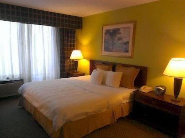 Imagen de la habitación del Hotel Akaza Richmond. Foto 5