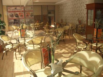 Imagen del bar/restaurante del Hotel Akdamar. Foto 2