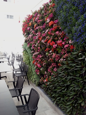 Imagen de los exteriores del Hotel Akeah Broncemar. Foto 10