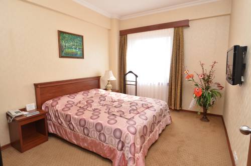 Imagen de la habitación del Hotel Akgun Elazig. Foto 4