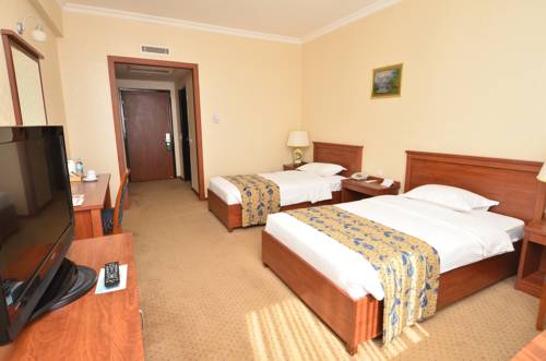 Imagen de la habitación del Hotel Akgun Elazig. Foto 5