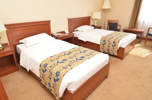 Imagen de la habitación del Hotel Akgun Elazig. Foto 6