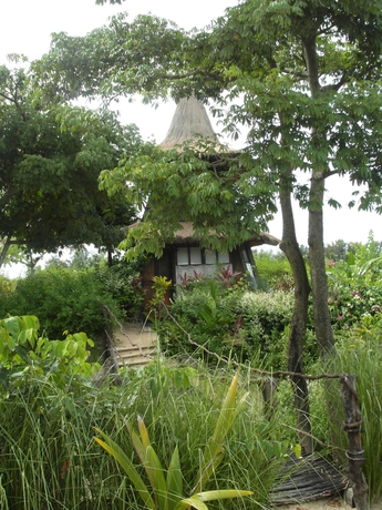 Imagen de los exteriores del Hotel Akine Dyioni Lodge. Foto 6