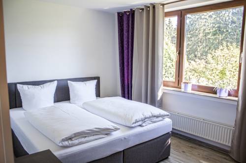 Imagen de la habitación del Hotel Aktiv Winterberg. Foto 4