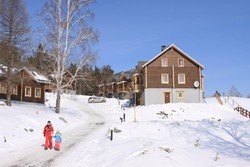 Imagen general del Hotel Aktiv-hotel Gorky. Foto 4