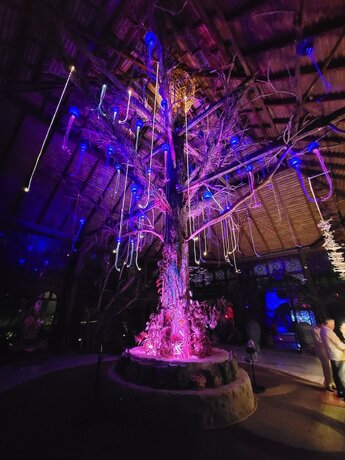 Imagen general del Hotel Akuazul. Foto 5