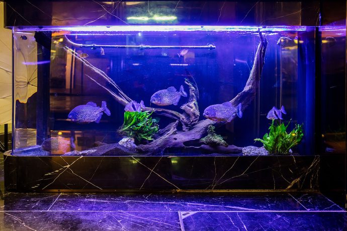 Imagen de los interiores del Hotel Akvo. Foto 19