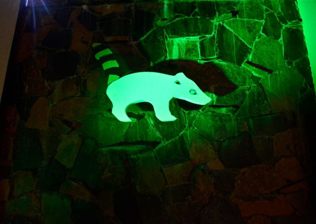 Imagen general del Hotel Akwati Suites Iguazú. Foto 2