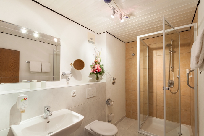 Imagen de la habitación del Hotel Akzent Alpenrose. Foto 8