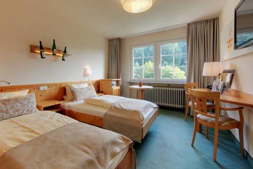 Imagen de la habitación del Hotel Akzent Waldhotel Rheingau. Foto 5