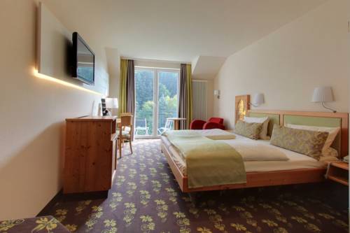 Imagen de la habitación del Hotel Akzent Waldhotel Rheingau. Foto 10