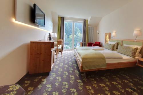 Imagen de la habitación del Hotel Akzent Waldhotel Rheingau. Foto 14