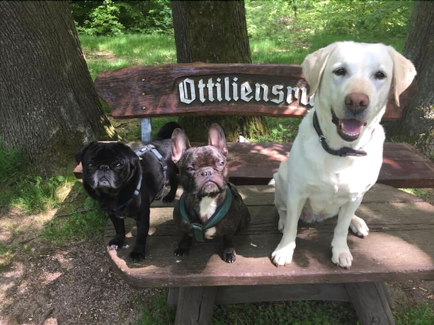 Imagen general del Hotel Akzent Zur Post. Foto 5