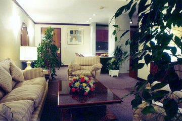 Imagen general del Hotel Al Hayatt Continental. Foto 7