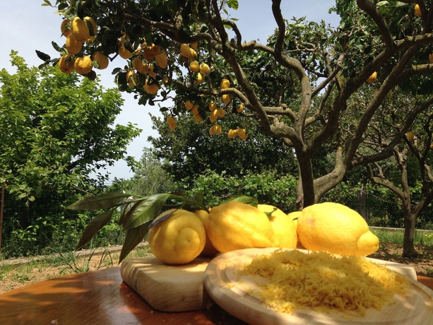 Imagen de los interiores del Hotel Al Mulino, Anacapri. Foto 15