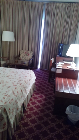 Imagen de la habitación del Hotel Al Nimran. Foto 13