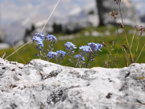 Imagen de la habitación del Hotel Al Plan Museum-osteria-oldtimer. Foto 4