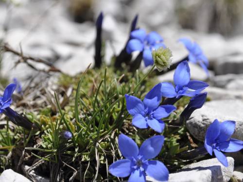 Imagen de la habitación del Hotel Al Plan Museum-osteria-oldtimer. Foto 16