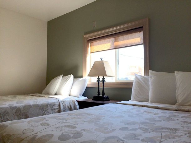 Imagen de la habitación del Hotel Ala Moana Motel. Foto 2