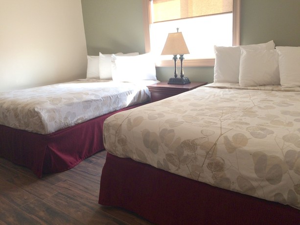 Imagen de la habitación del Hotel Ala Moana Motel. Foto 10