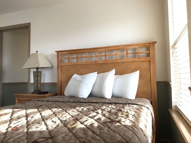 Imagen de la habitación del Hotel Ala Moana Motel. Foto 12