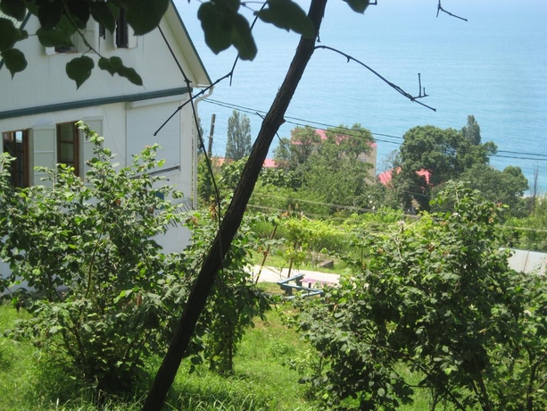 Imagen general del Hotel Alagg Guest House. Foto 7