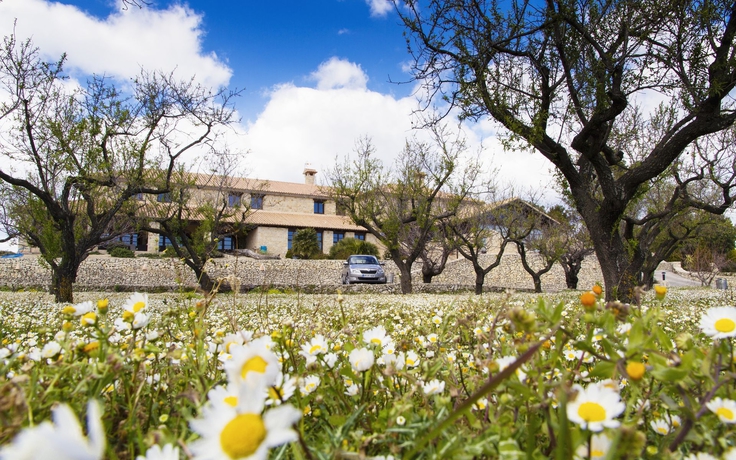 Imagen general del Hotel Alahuar. Foto 4