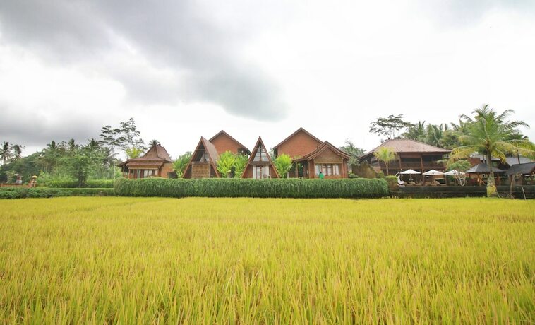 Imagen general del Hotel Alam Kawi Ubud Resort and Spa. Foto 7