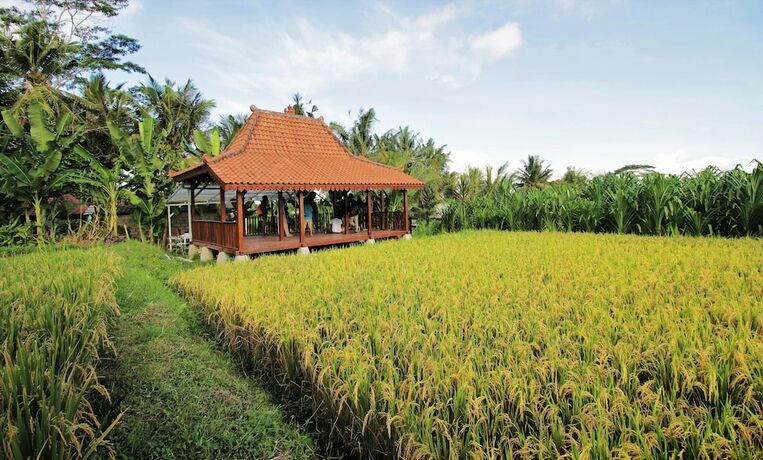 Imagen general del Hotel Alam Kawi Ubud Resort and Spa. Foto 15
