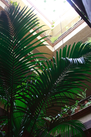 Imagen de los interiores del Hotel Alameda Centro Historico. Foto 16