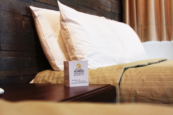 Imagen de la habitación del Hotel Alameda Centro Historico. Foto 11